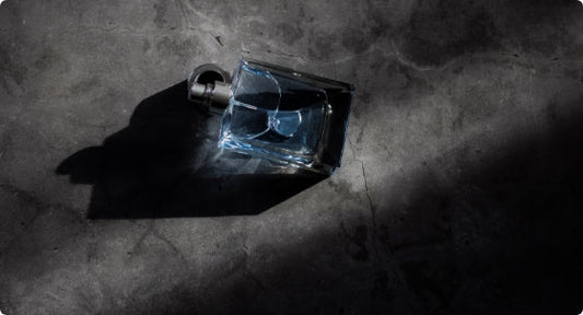 Boston vs. Euro Round Bottles: The Differences Explained 1